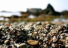glass beach